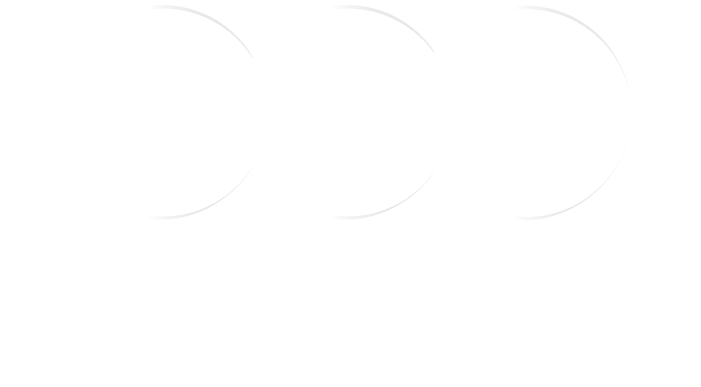 Verónica Barros Logotipo